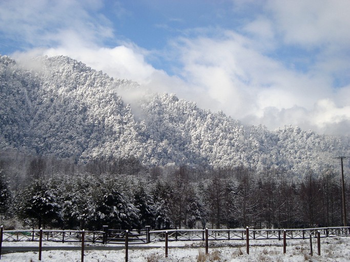 Cabins (Neltume, Los Ríos, Chile)