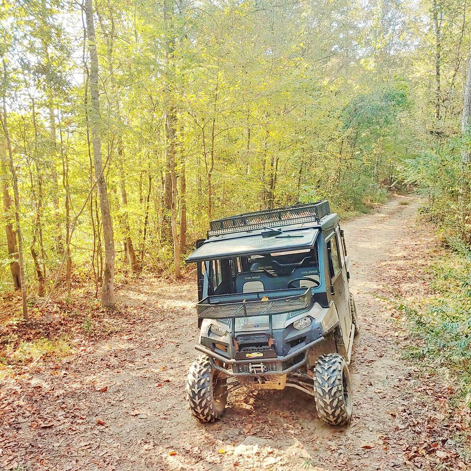 Remote and Off-Grid Tiny House Rental for Glamping in Alabama