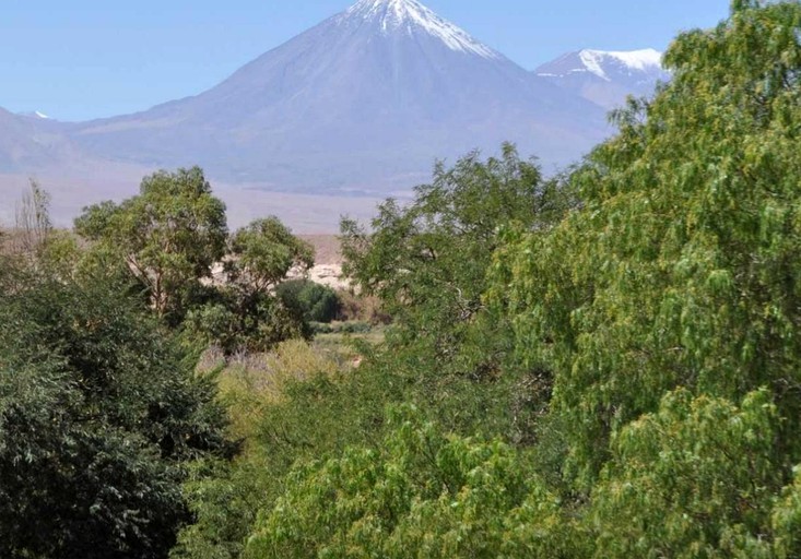 Yurts (San Pedro de Atacama, Antofagasta, Chile)