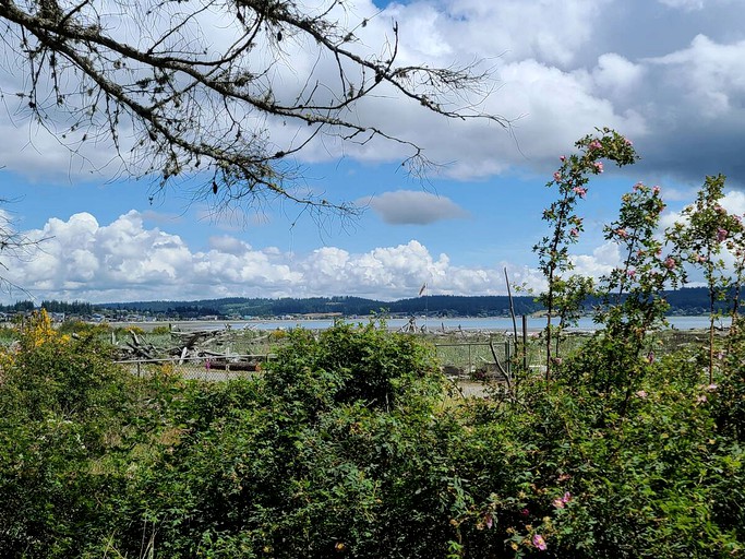 Airstreams (Freeland, Washington, United States of America)