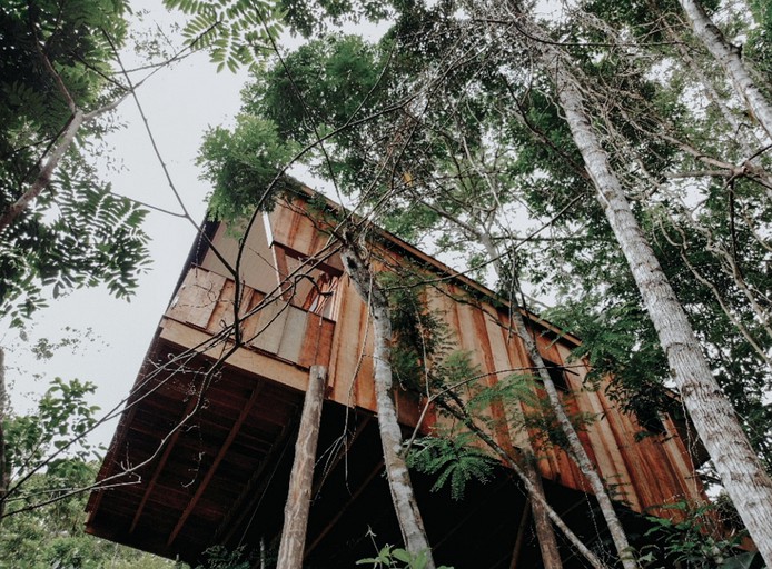 Tree Houses (Paraty, Rio de Janeiro, Brazil)