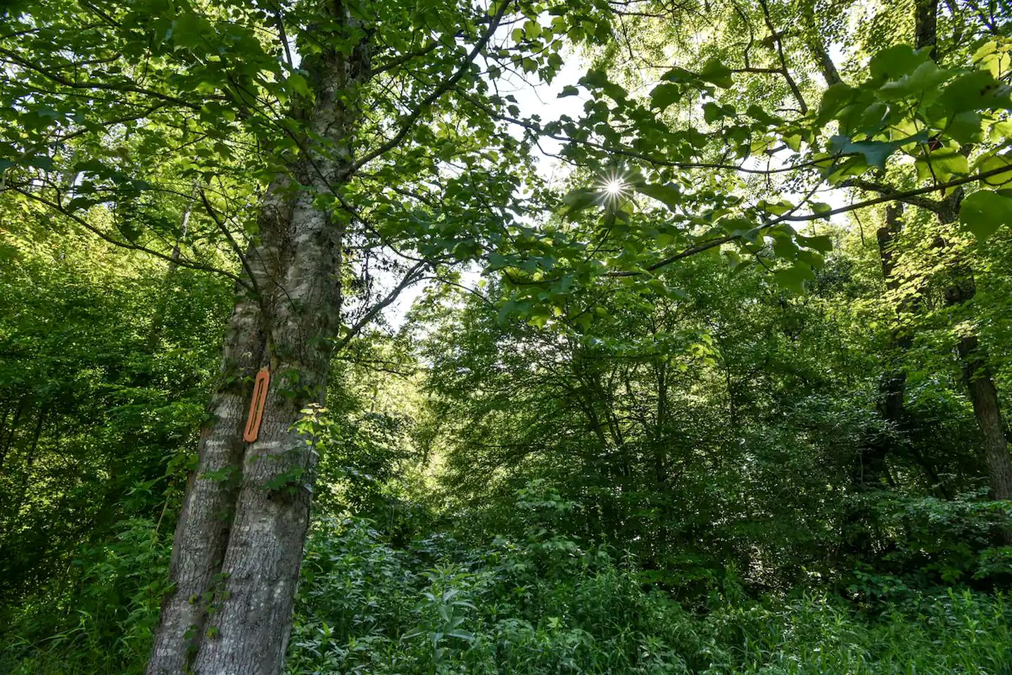 Retro Converted Container for the Best Glamping in North Carolina