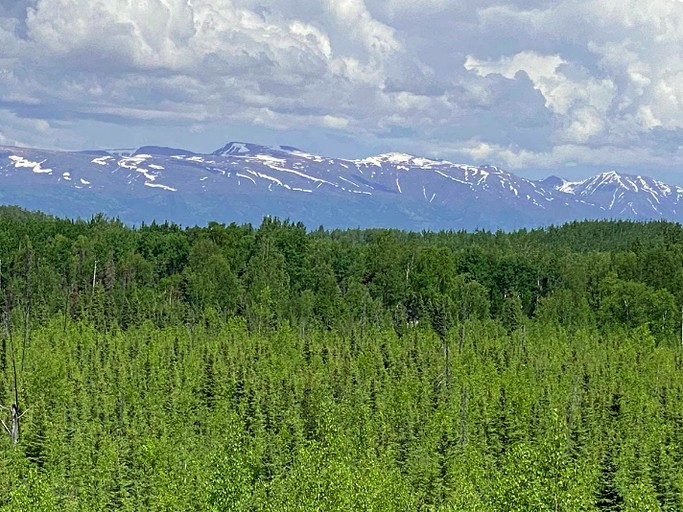 Yurts (Big Lake, Alaska, United States of America)