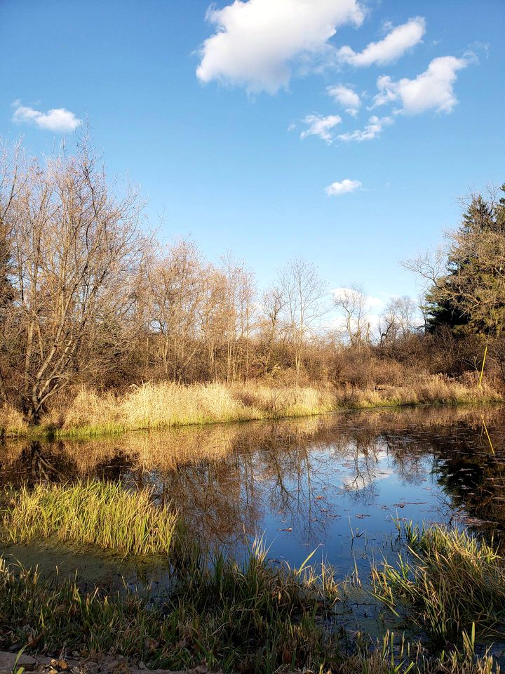 Romantic Tipi Accommodation with Fire Pit Ideal for Camping in Waupaca, WI