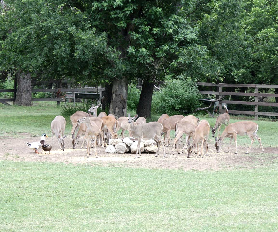 Charming Bandera Accommodation for Texas Hill Country Getaways