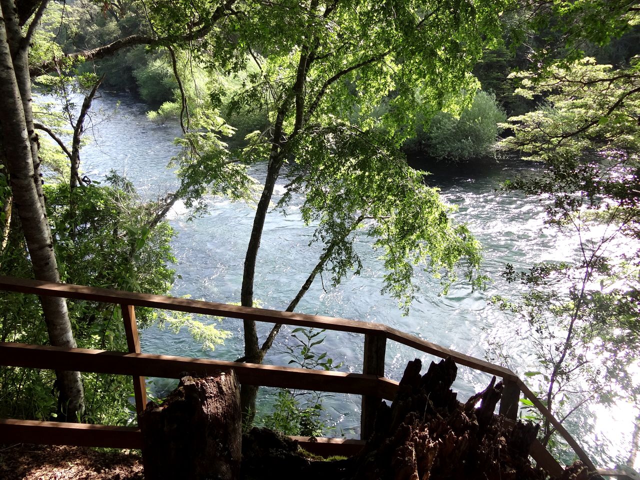 Peaceful Cabin Rental for Glamping in Chile