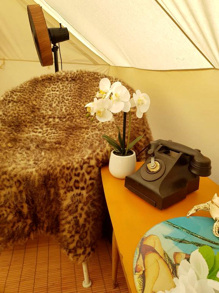 Tiki-Chic Kerikeri Rental with a Bar Ideal for Glamping, North Island