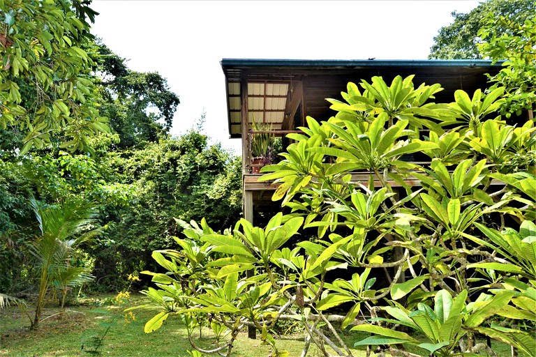 Tree Houses (San Ignacio, Cayo District, Belize)