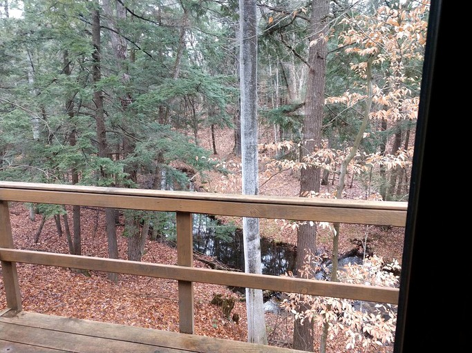 Cabins (Le Roy, Michigan, United States of America)