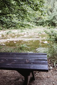 undefined photo 3