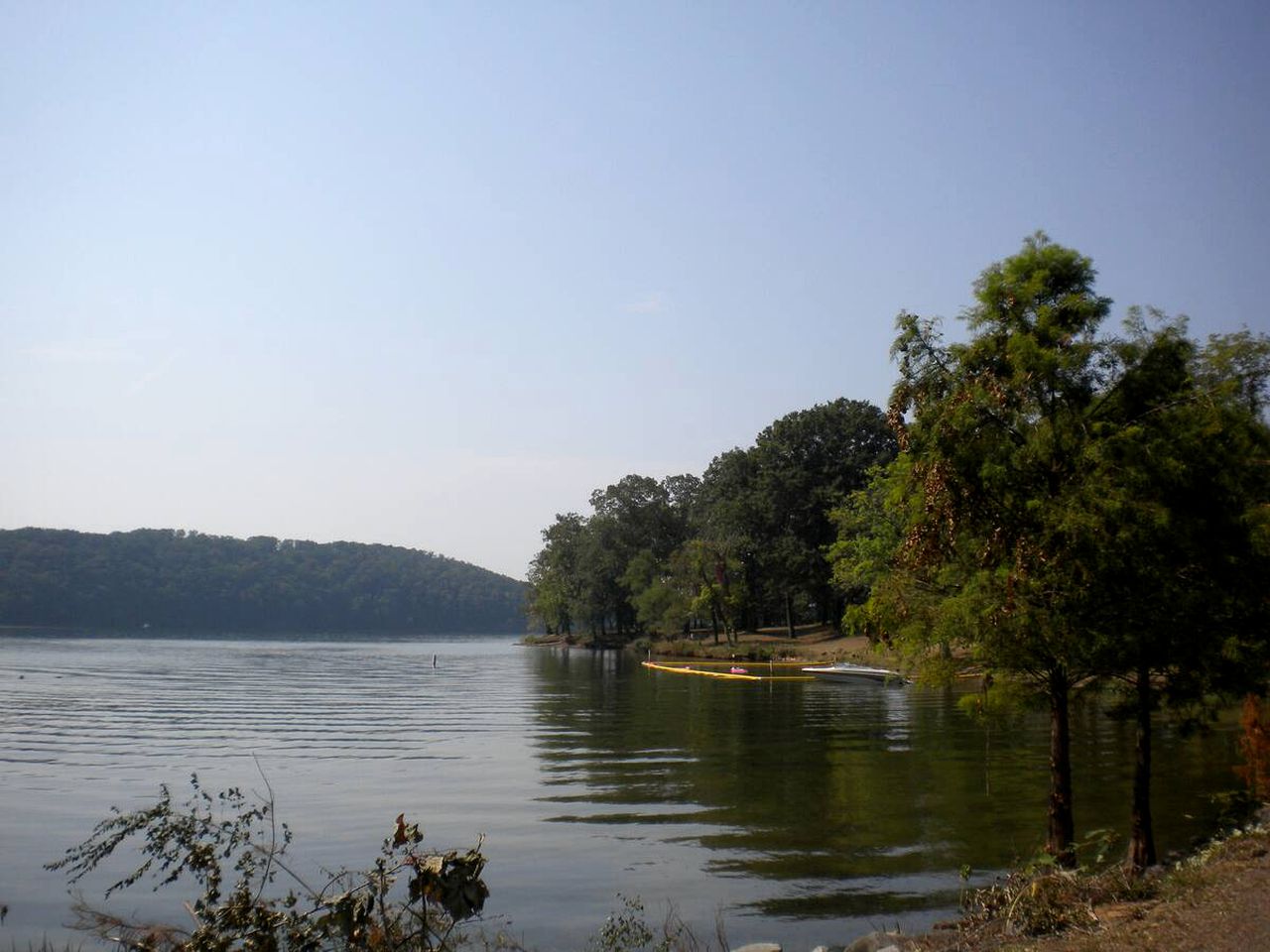 Eccentric Converted Bus, Perfect for a Tennessee Vacation