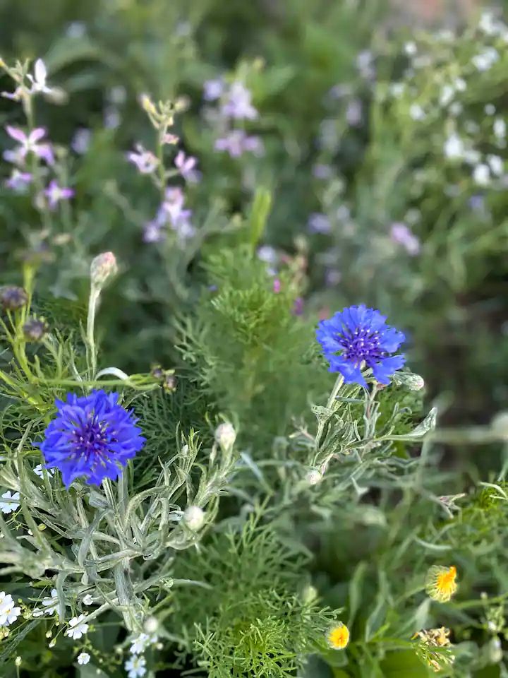 Cozy Hurricane Rental for a Utah Weekend in Nature