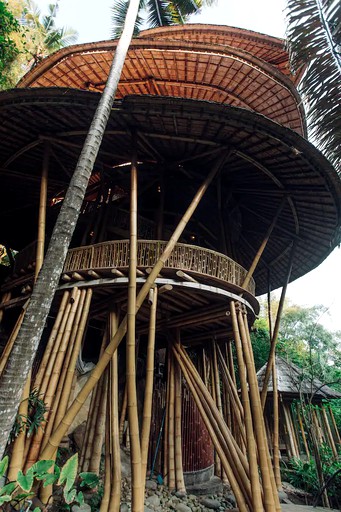 Tree Houses (Denpasar, Bali, Indonesia)