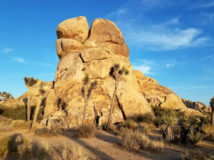 Cottages (Joshua Tree, California, United States of America)