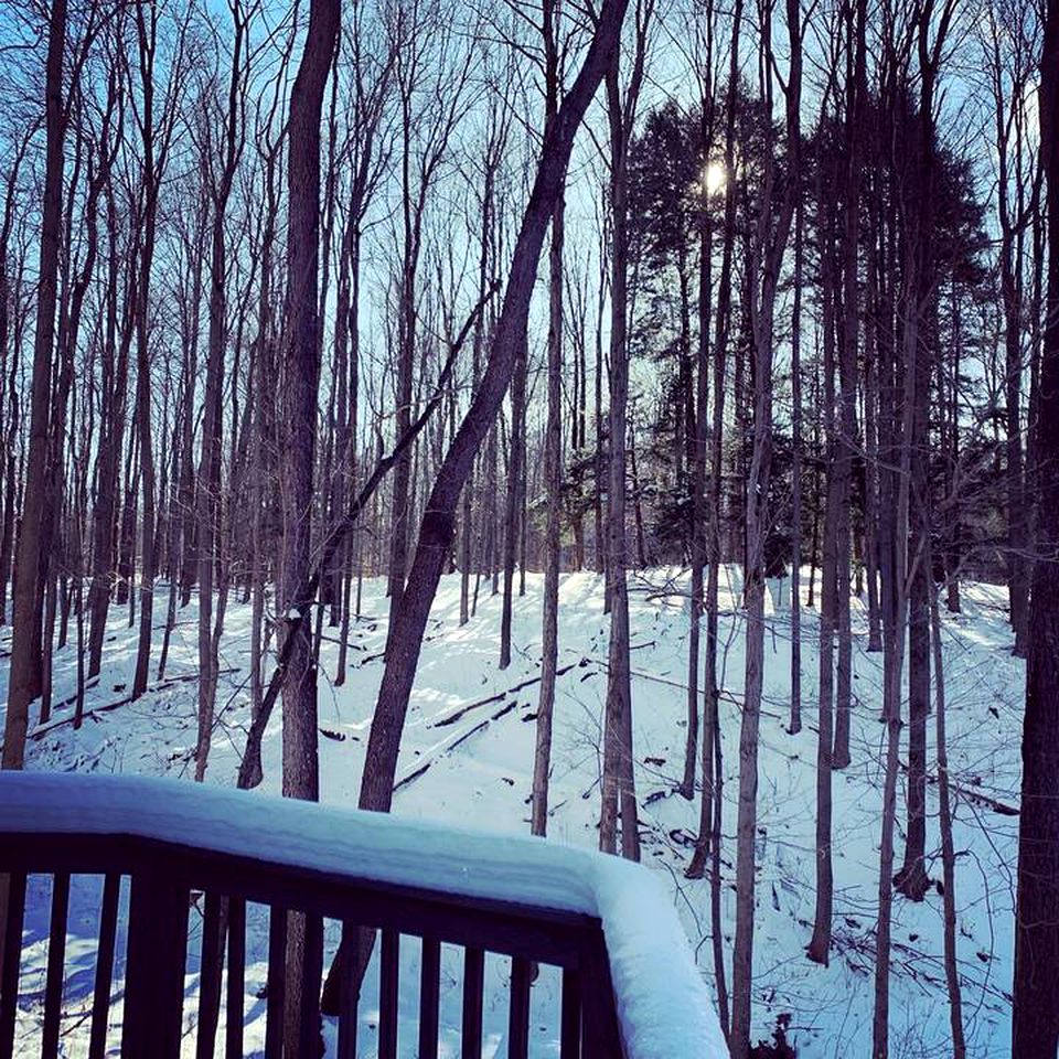 Peaceful Log Cabin Rental for a Vacation in Upstate New York