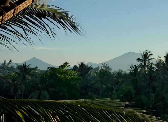 Tree Houses (Denpasar, Bali, Indonesia)