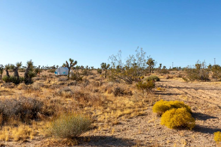 Safari Tents (Yucca Valley, California, United States of America)