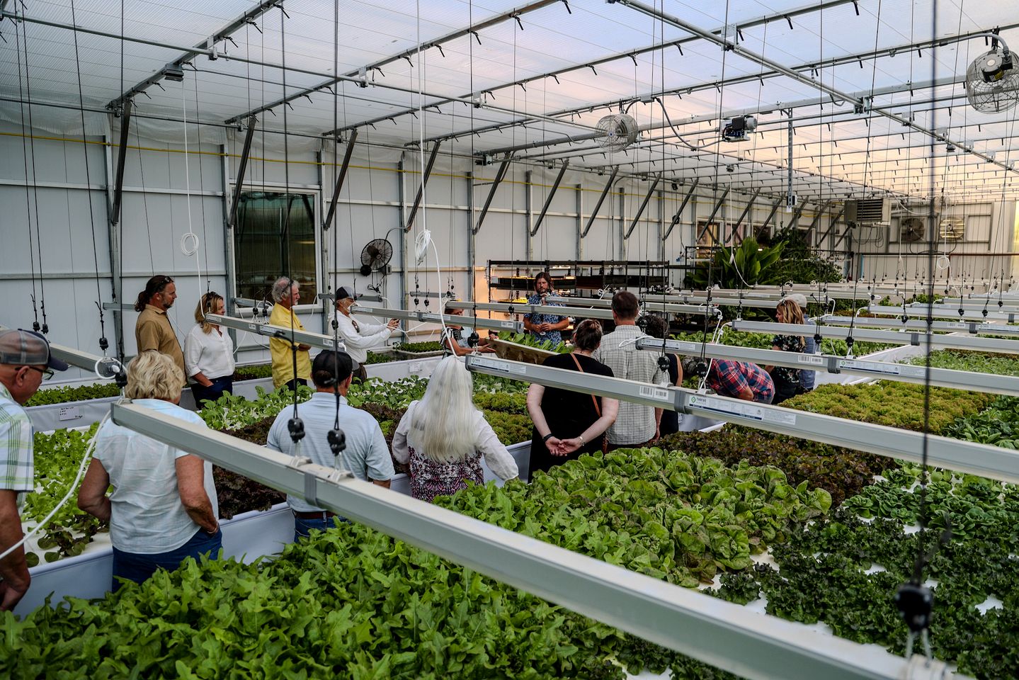 Luxury Glamping Retreat with Panoramic Views and Privacy in Sandpoint, Idaho