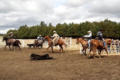 Cozy Room Rental on a Dude Ranch near Burwell, Nebraska photo 4