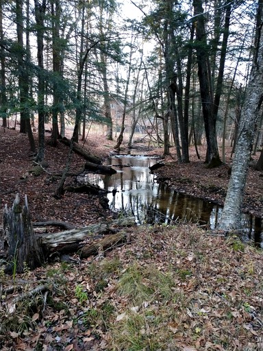 Cabins (Le Roy, Michigan, United States of America)