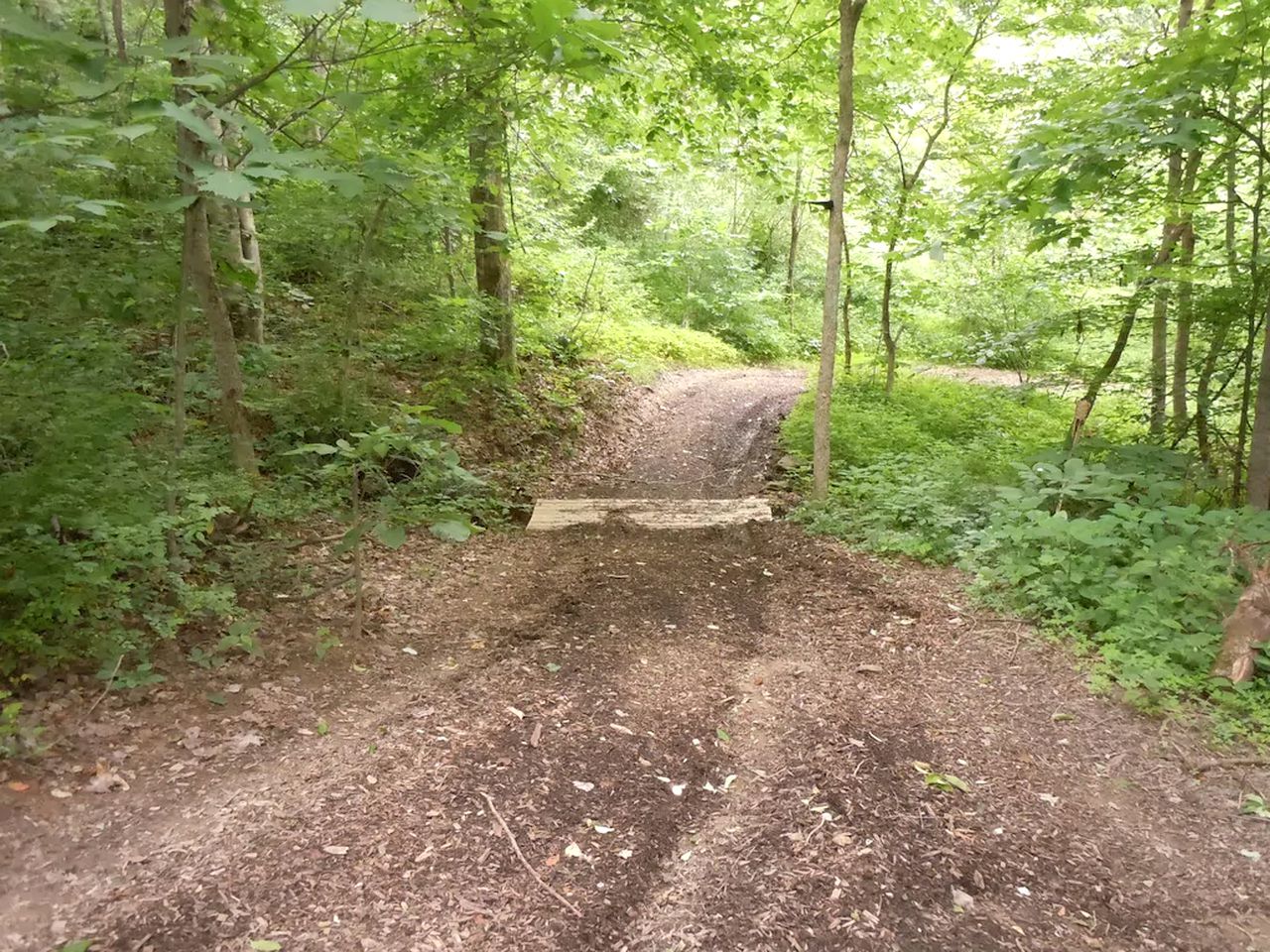 Cozy Glamping Tent Rental for Weekend Getaways in Ohio