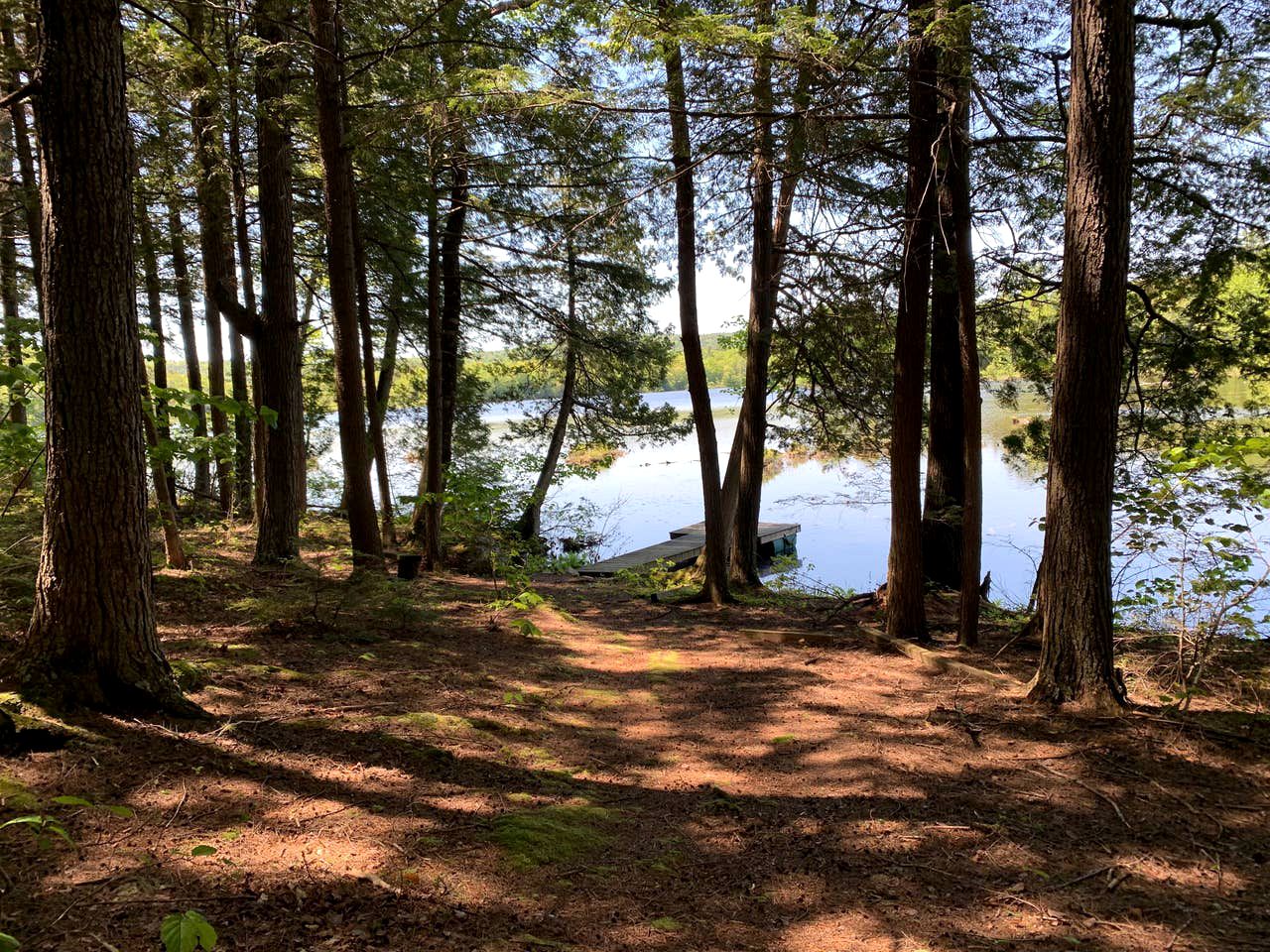 Log Cabin Rental Fayette, Maine Glamping Hub