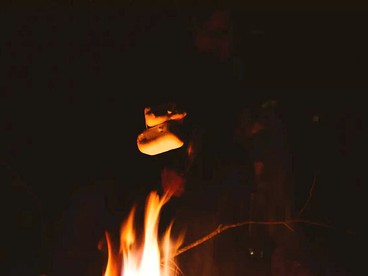 undefined photo 3