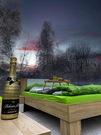 undefined photo 3