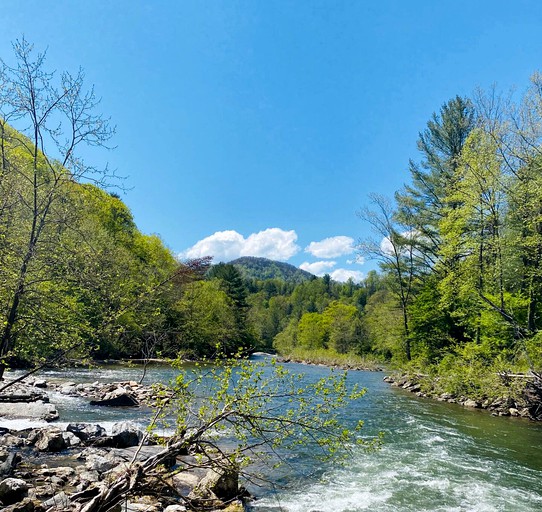 Riverfront Rental with Fire Pit Perfect for Group Glamping near Asheville, North Carolina | Bell Tents (Green Mountain, North Carolina, United States