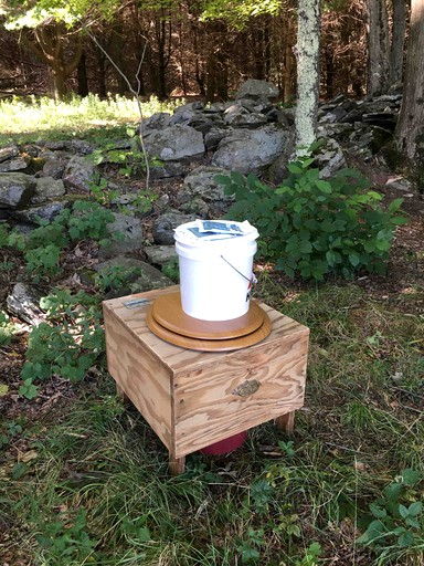 Safari Tents (Delhi, New York, United States of America)