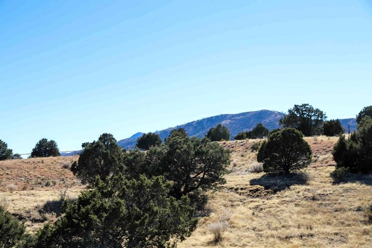 Tree Houses (Nogal, New Mexico, United States of America)