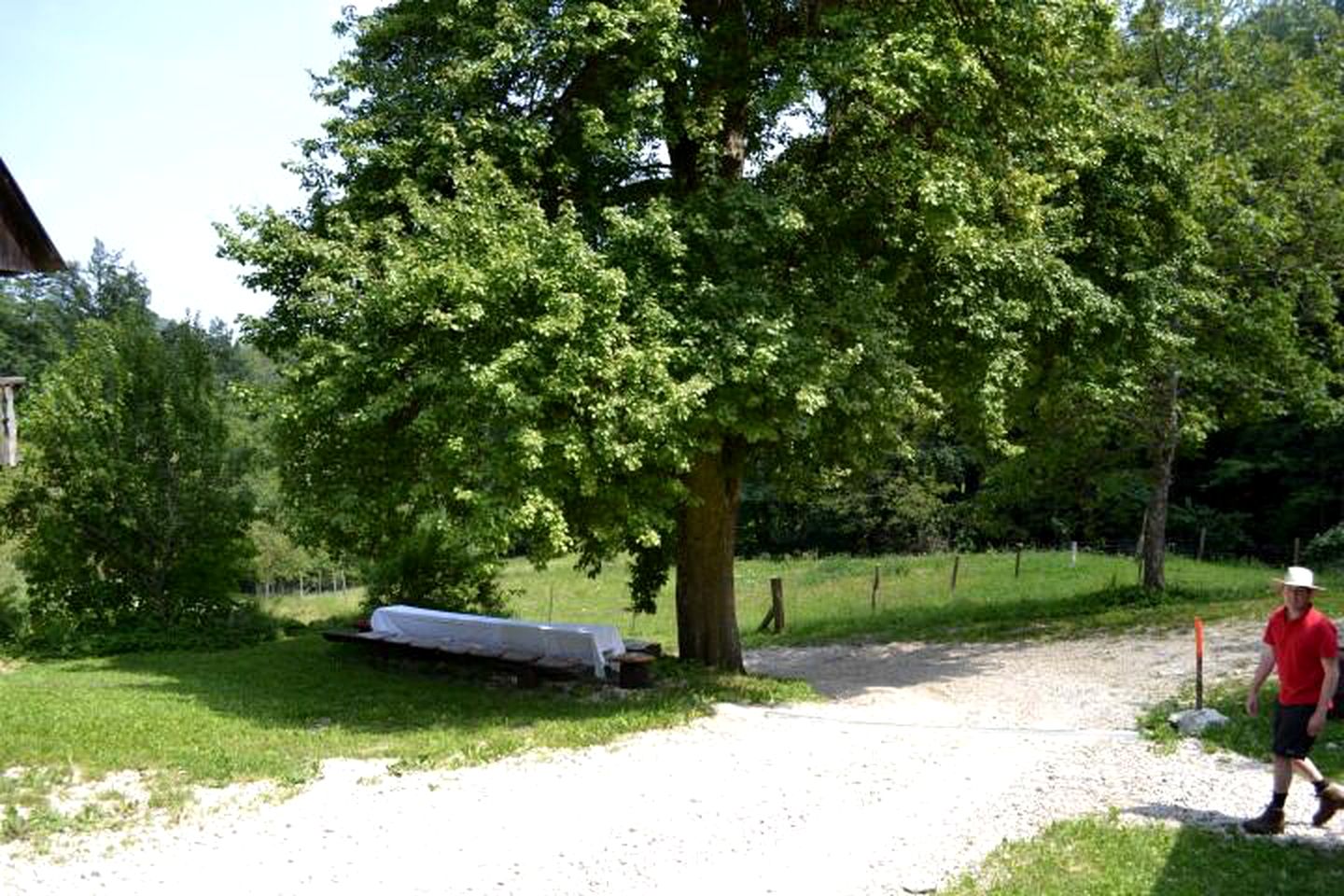 Idyllic Holiday Accommodation on a Beautiful Farm in Kozje, Eastern Slovenia