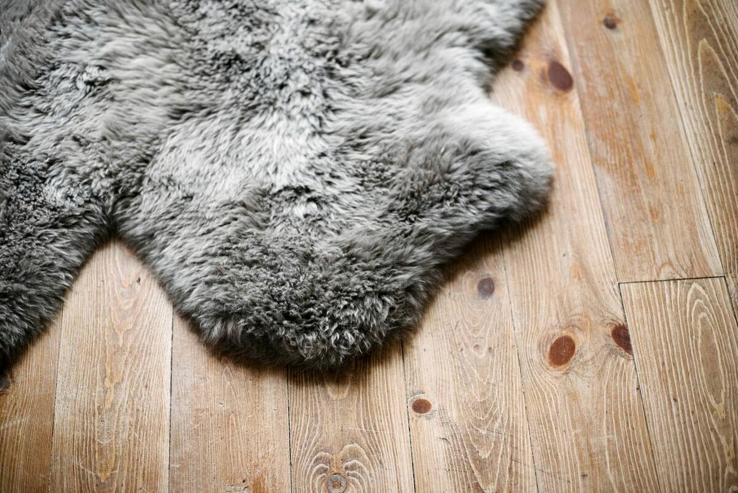 Freshly-Built South Dakota Cabin for a Family Vacation in the Black Hills