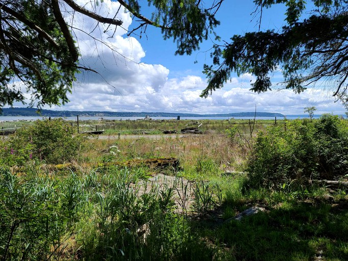 Airstream Steps from Popular Whidbey Island Beach, Airstreams 64892 ...