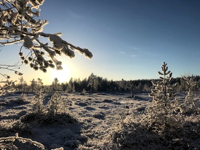 Yurts (Rovaniemi, Lapland, Finland)