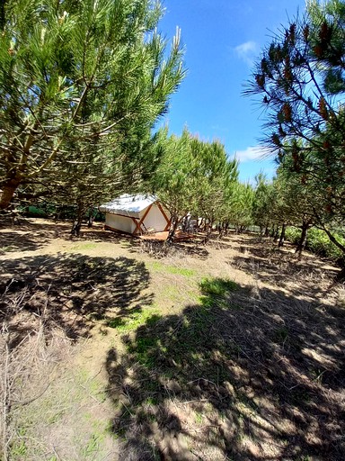 Tented Cabins (Lourinhã, Lisbon District, Portugal)