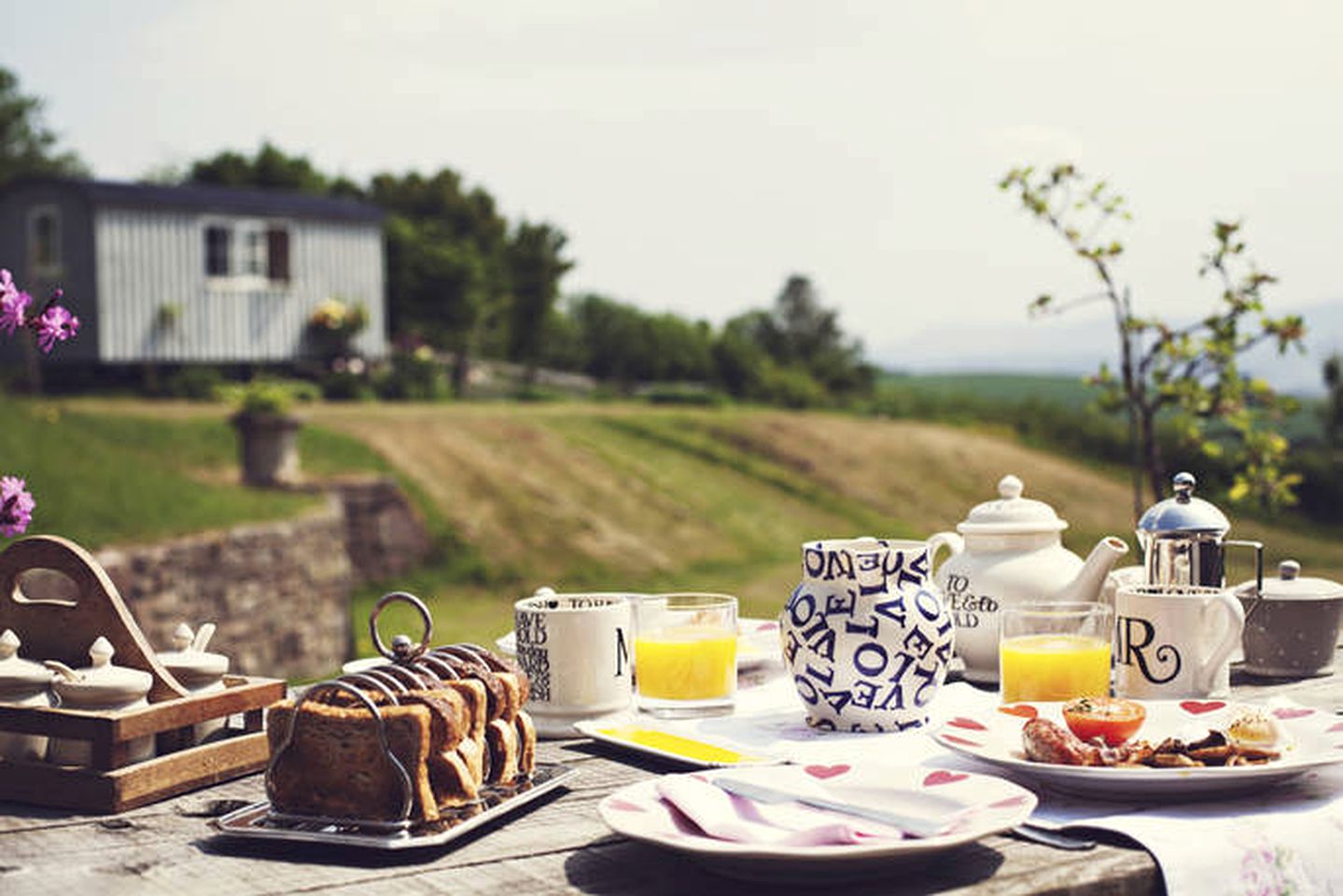 Cosy Shepherd's Hut for Two to Go Glamping in Wales