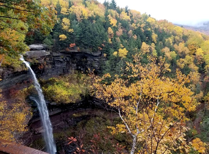 Glamping in the Sun Barn, Barns 70996, Preston Hollow, United States of