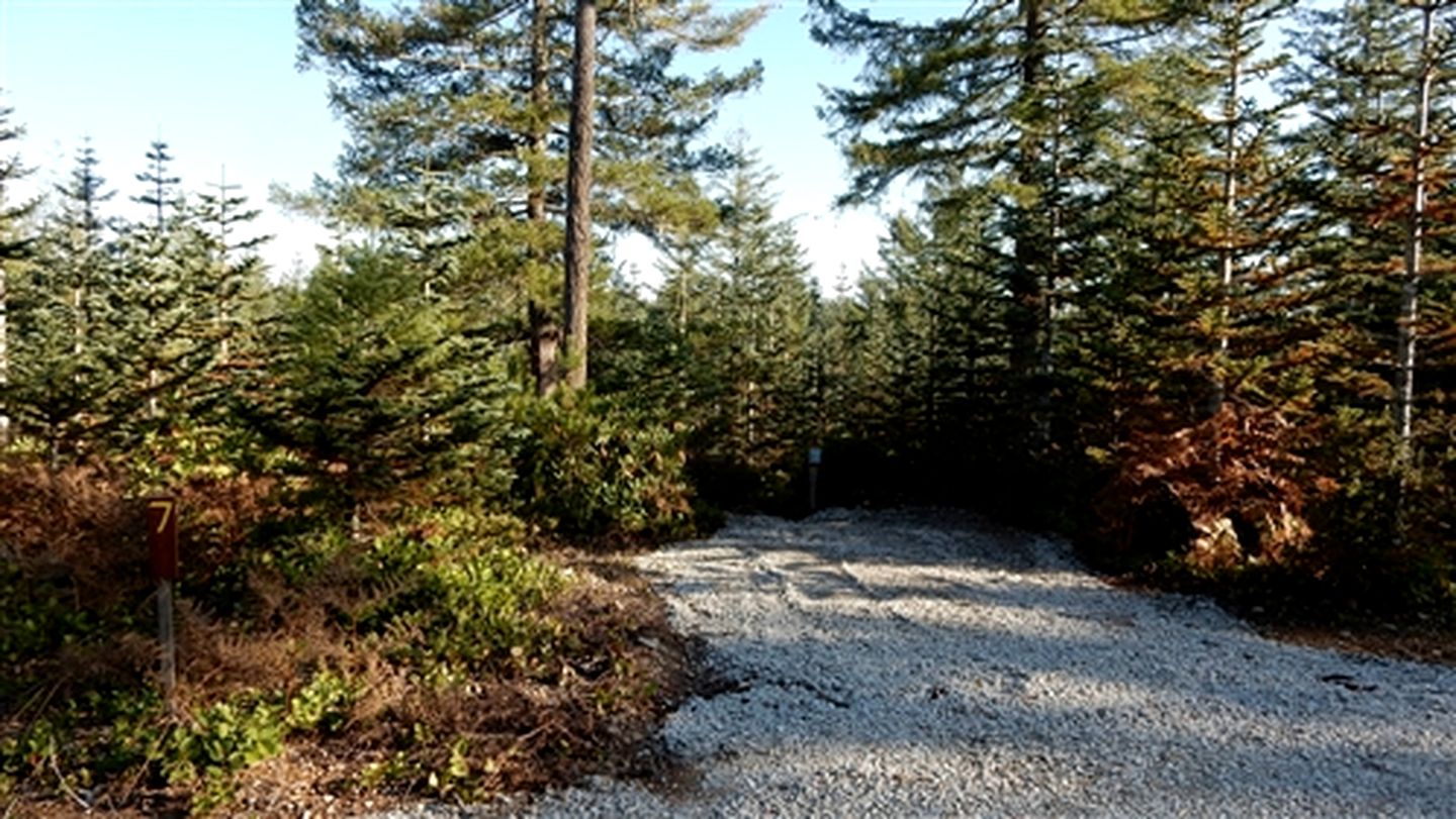 Luxury Camping Tent on Secluded Resort near Seattle, Washington