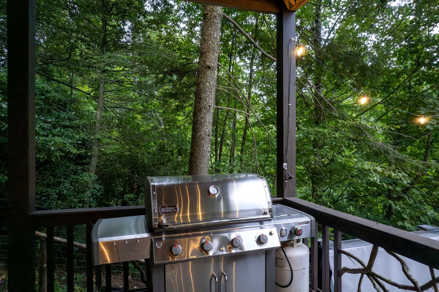 Scenic Mountain Cabin with Hot Tub, Game Room & Firepit near Silver Run Falls – Cashiers, NC
