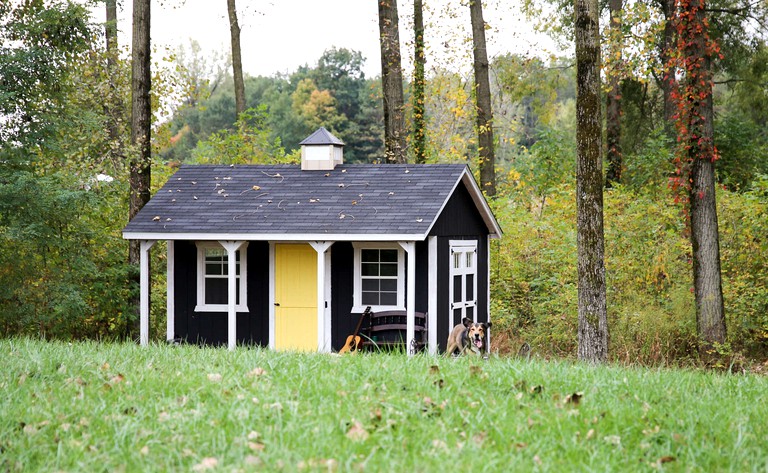 Cabins (Knox County, Ohio, United States of America)