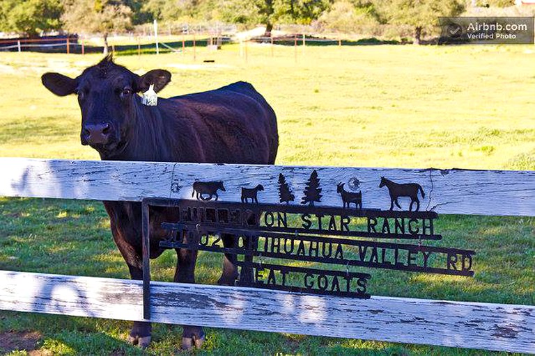 Lazy Y Guest Ranch, Barns 58044, Warner Springs, United States of