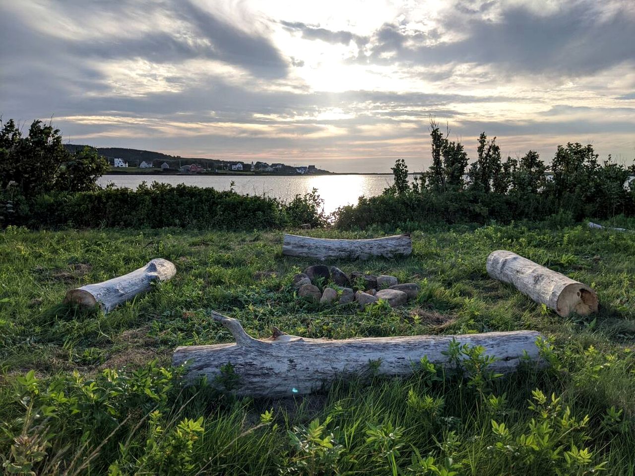 Unique Tiny House Rental Perfect for Glamping in Nova Scotia