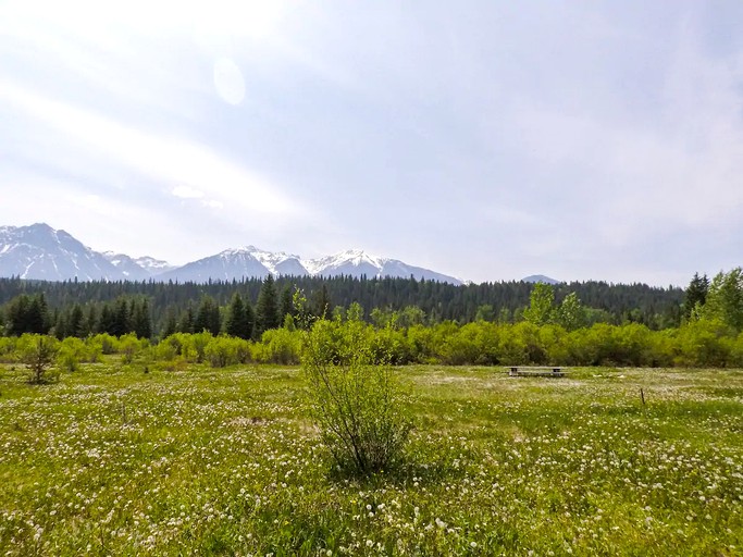 Tiny Houses (Golden, British Columbia, Canada)