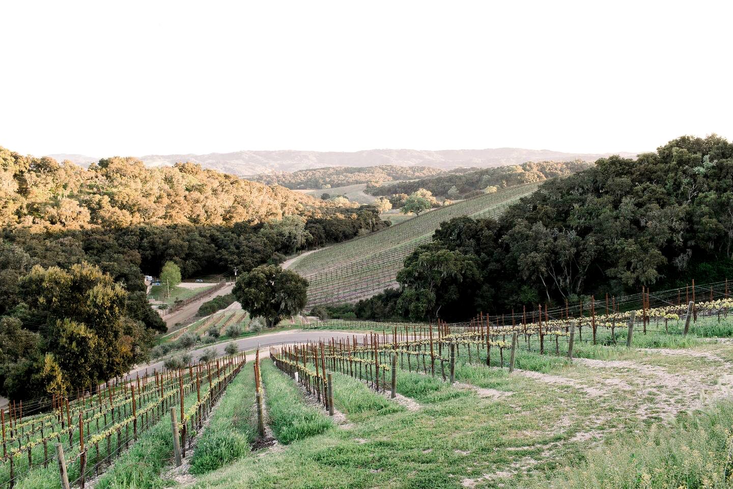 Amazing Paso Robles Cabins for Vineyard Glamping in California