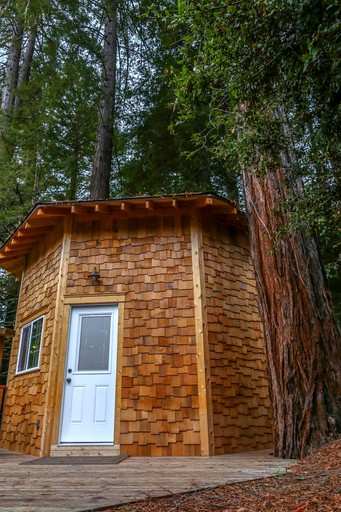 Cabins (Aptos, California, United States) | Luxury California tree houses