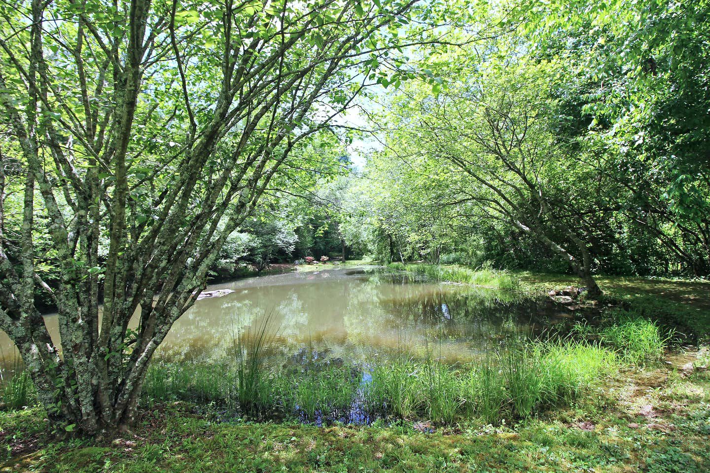 Vacation Cabin Rental Copperhill, Tennessee Glamping Hub