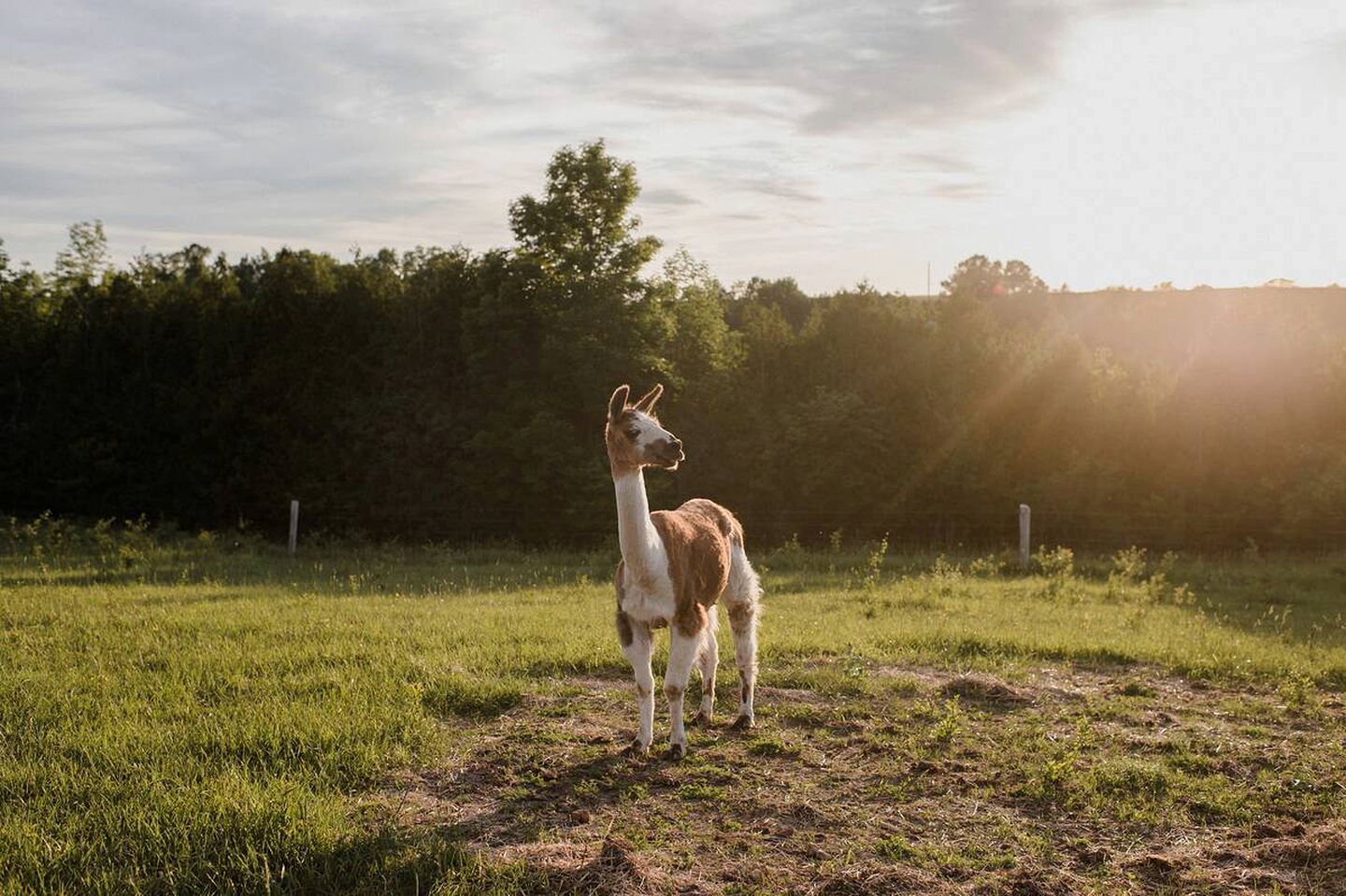 Newly-Renovated Ontario Cottage for a Weekend Getaway in Canada