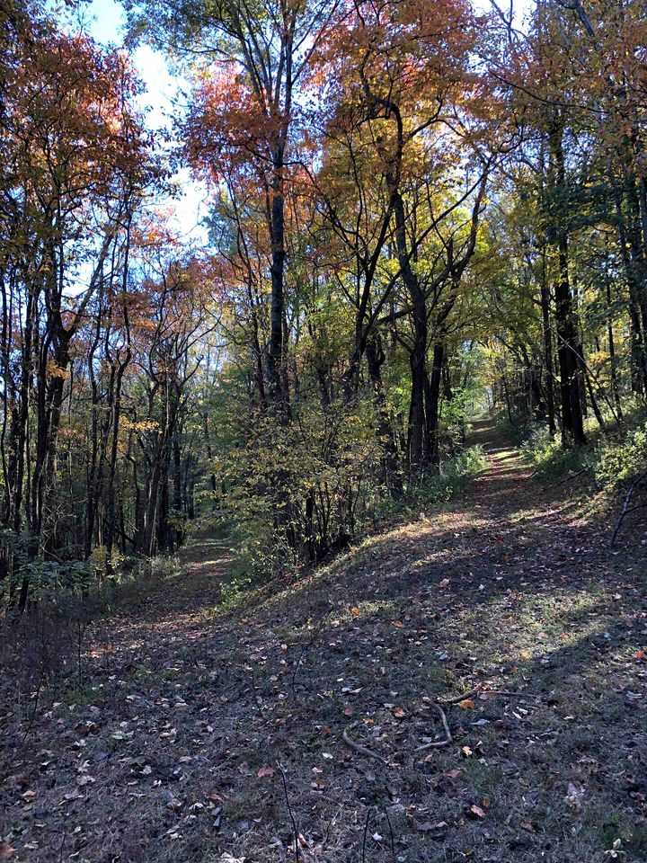 Beautiful Nashville Glamping Site for a Rural Tennessee Vacation