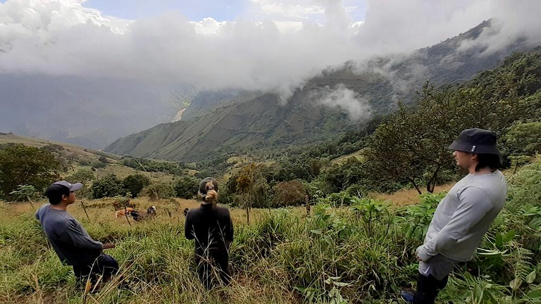 Huts (Concordia, Antioquia, Colombia)